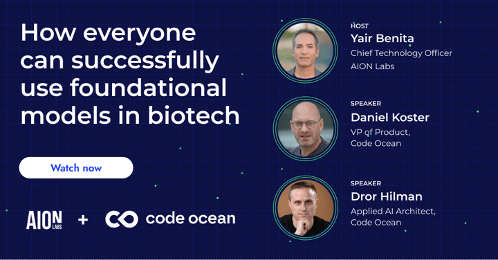 09_code_ocean_webinar-How everyone can successfully use generative foundational models in biotech-3