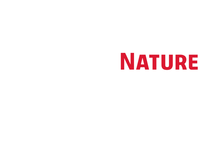 springer-nature-signup-white-c