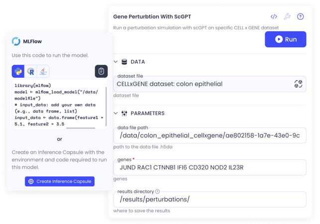 models-validate-inference