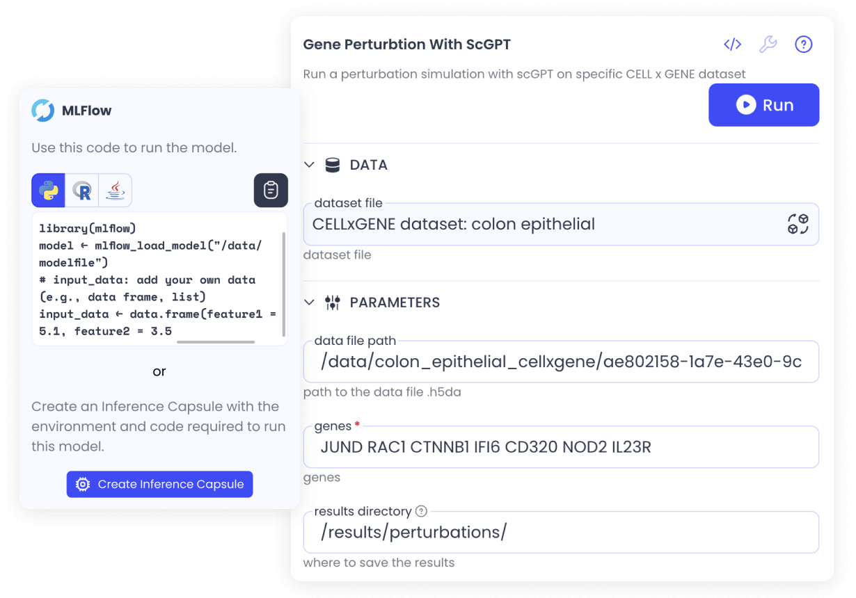 models-validate-inference